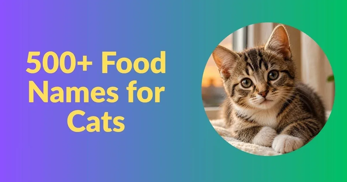 food names for cats